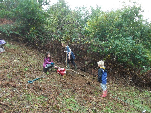 Apple orchard planting 3